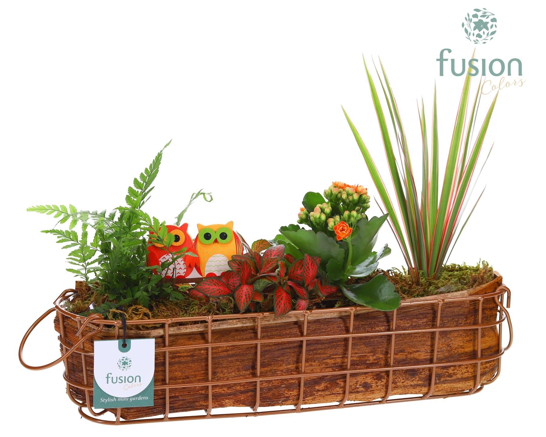 Fusioncolors BV Metaal mand ovaal Large Herfst met Arrangement 4pp Pack of 3