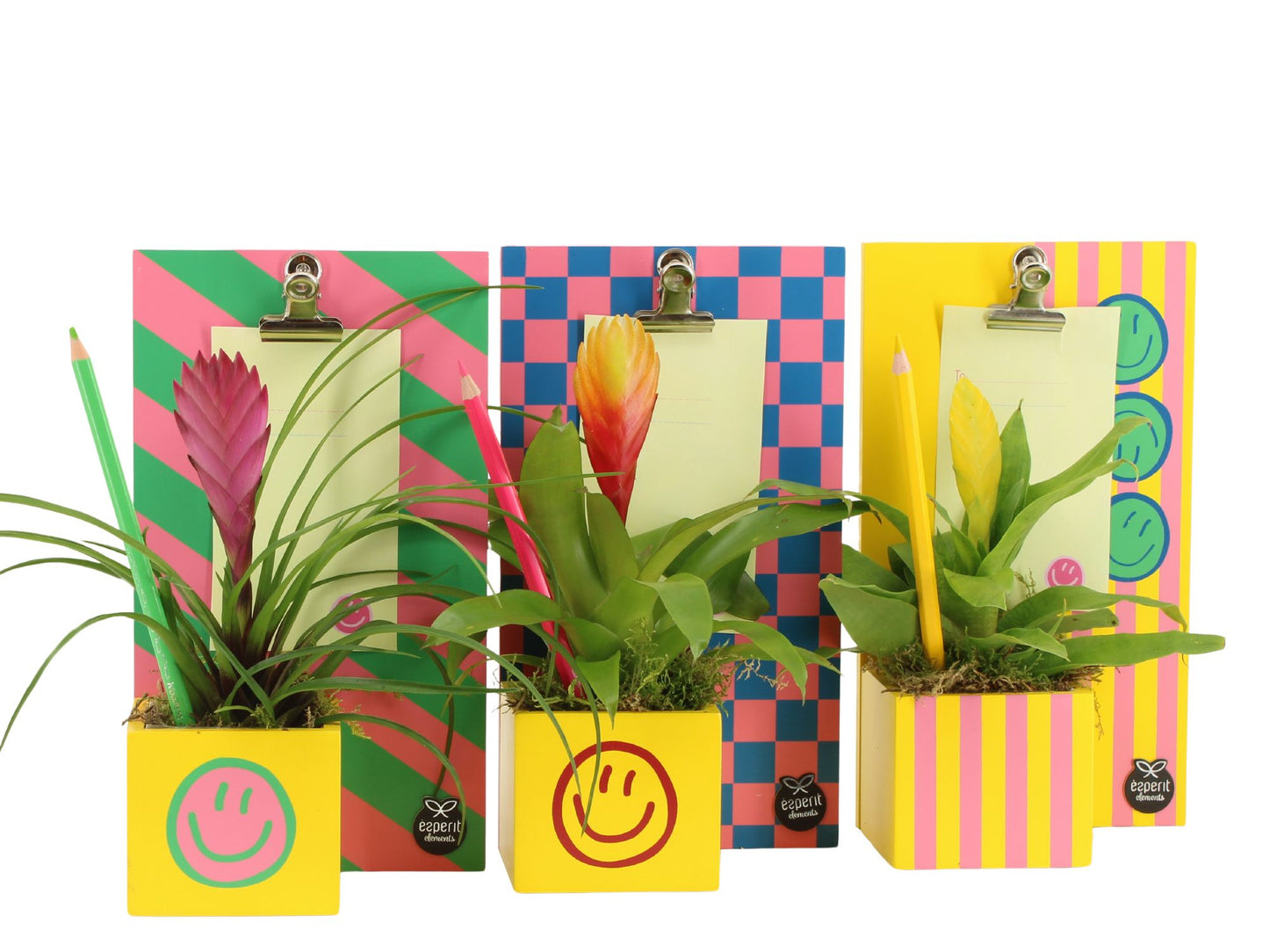 Esperit Elements Vof Indoor arrangement Pack of 10