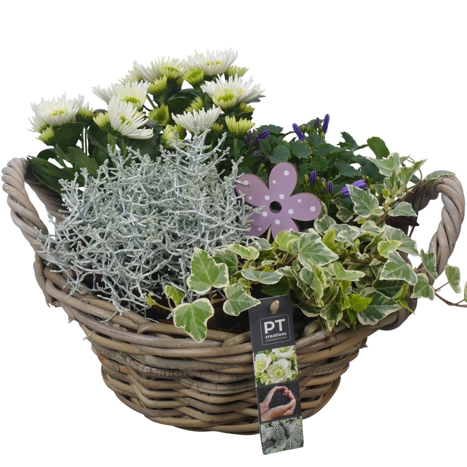 Outdoor arrangement 24cm 28cm Pot