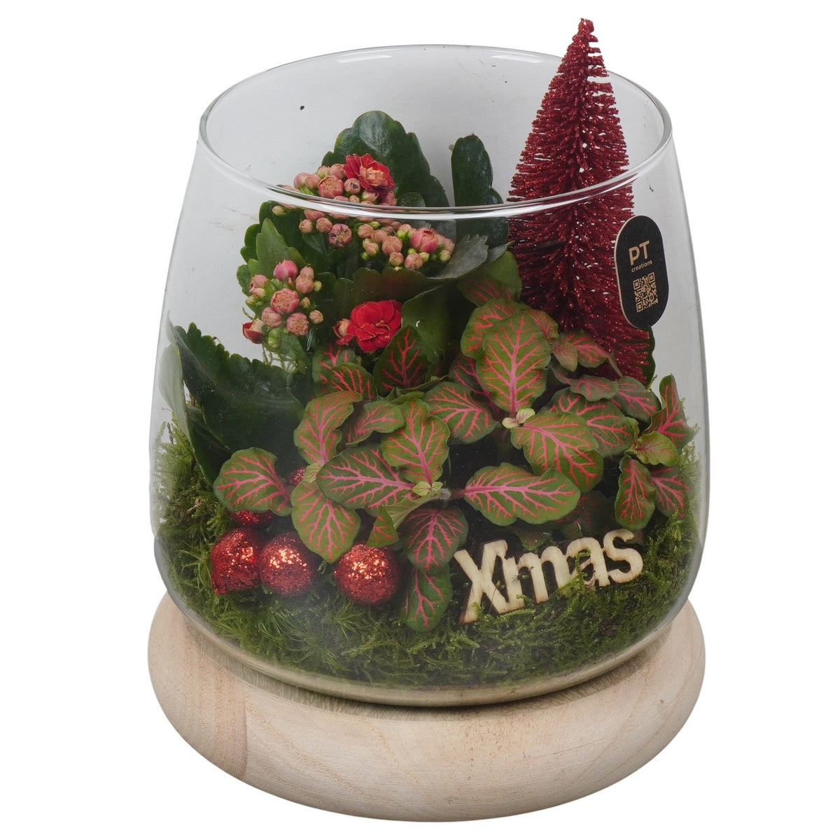 Christmas arrangement 20cm 16cm Pot