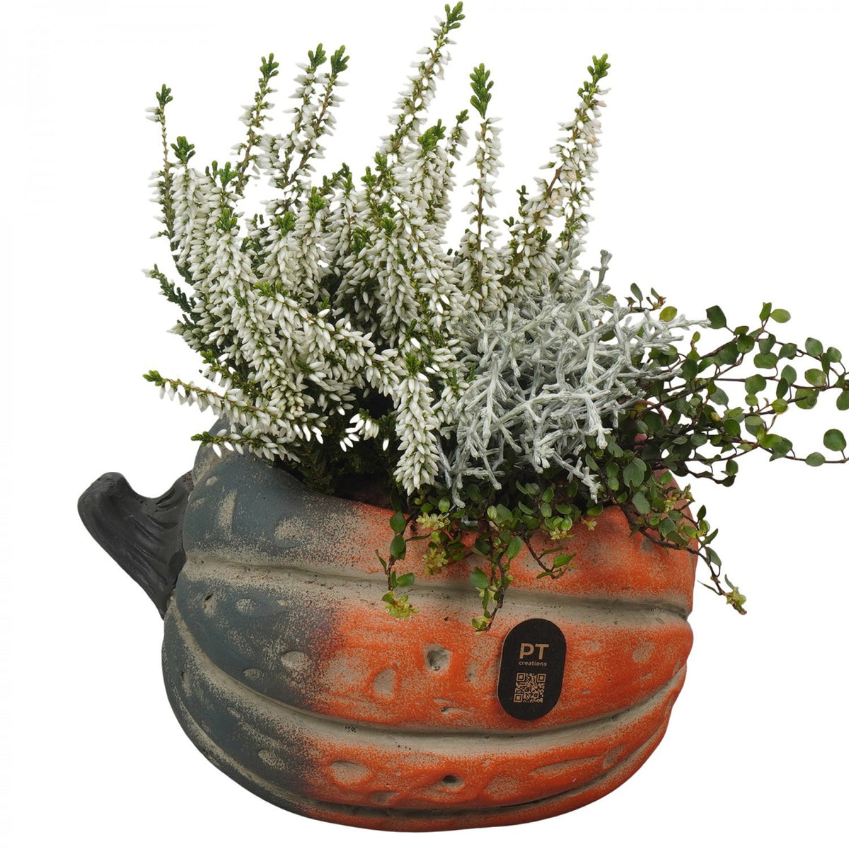 Outdoor arrangement 23cm 18cm Pot
