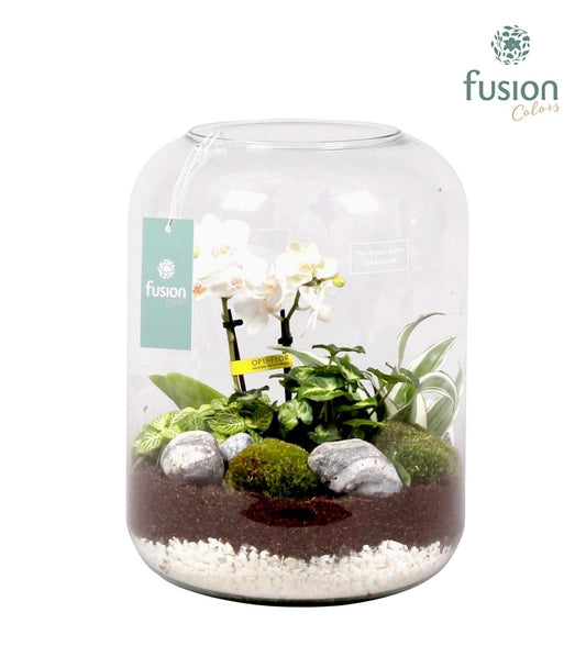 Green Bottle xlarge met white arrangement 29cm 23cm Pot