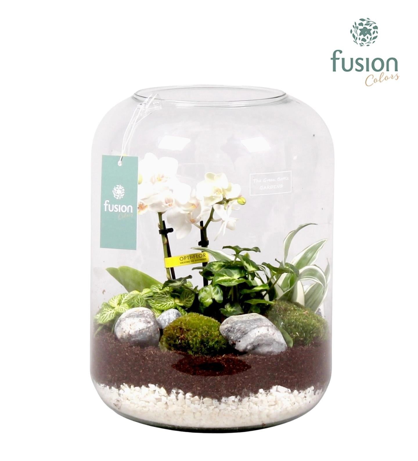 Fusioncolors BV Green Bottle Isabella XLarge met white arrangement 4pp Pack of 2