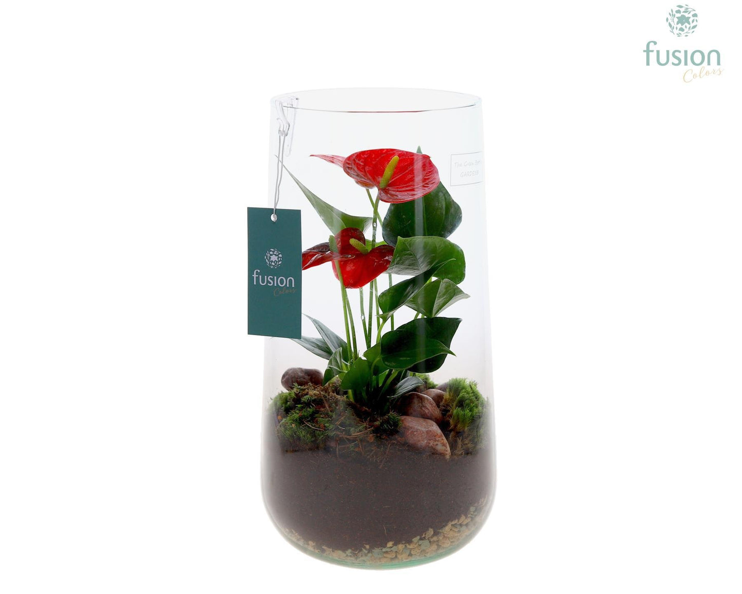 Fusioncolors BV Green Bottle Deline XLarge met Anthurium Pack of 4