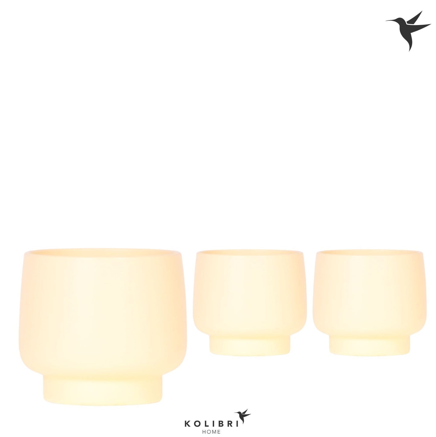 OK Plant Kolibri Home Scandic pot yellow Pack of 4