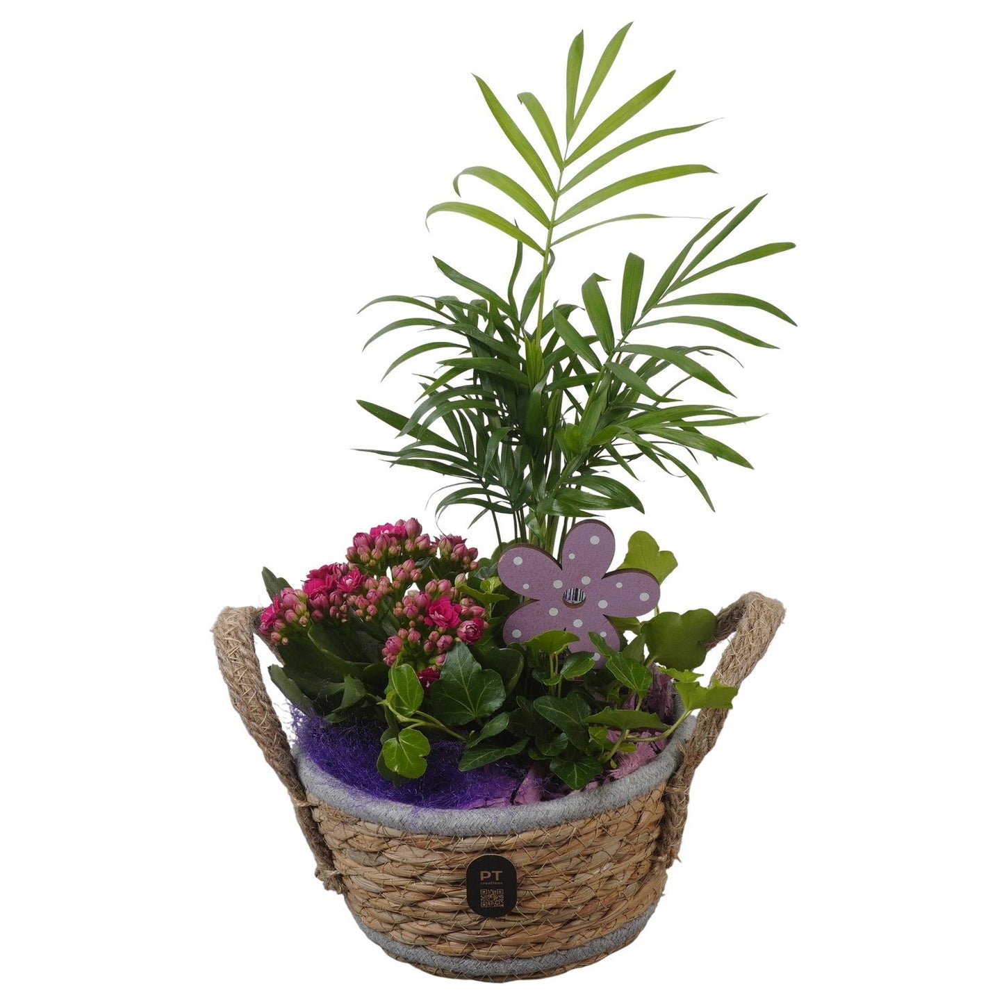 Indoor arrangement 32cm 15cm Pot