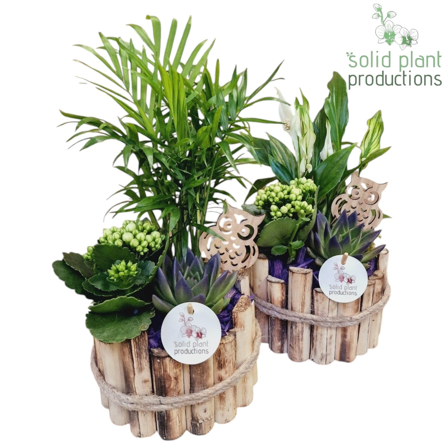 HSCE001 Milano Small Autumn Purple 35cm 17cm Pot
