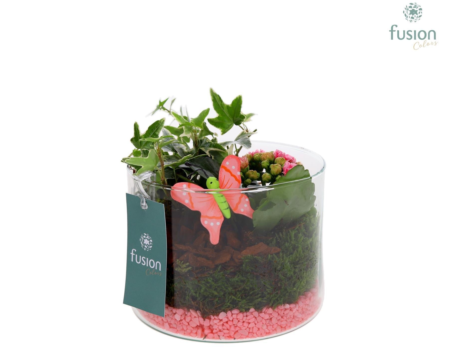 Glas Cilinder Lucille klein met roze Arrangement 2pp 15cm 15cm Pot