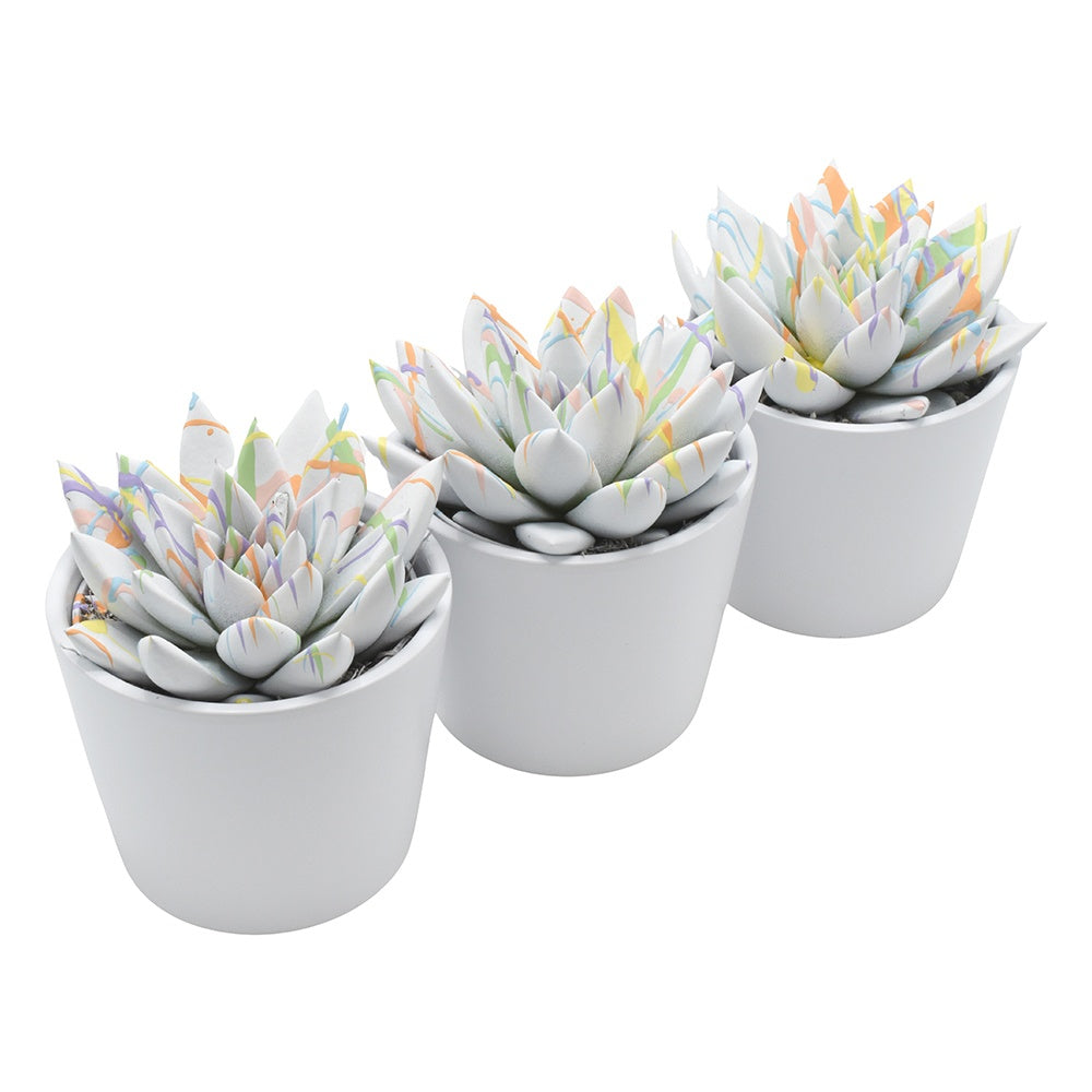 Miranda coloured white + pastel splash in Alina ceramics 11cm 8.5cm Pot