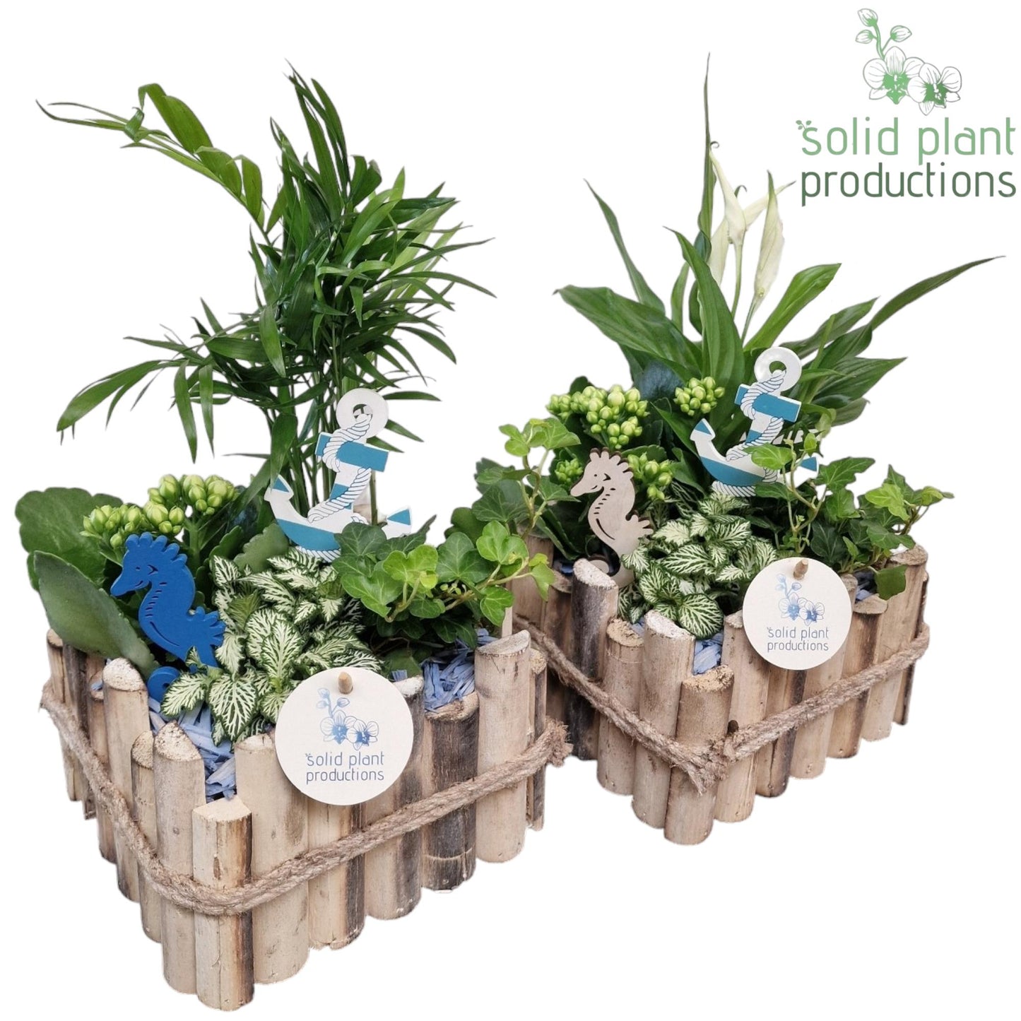 Solid Plant Productions HSC004 Verona Small Maritiem Pack of 4