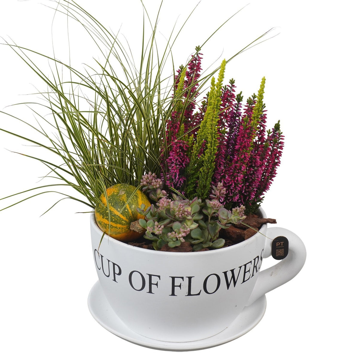 Outdoor arrangement 37cm 24cm Pot