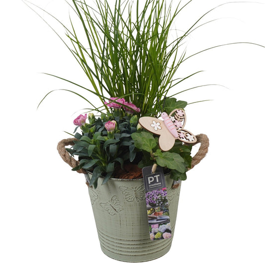 Outdoor arrangement 44cm 15cm Pot