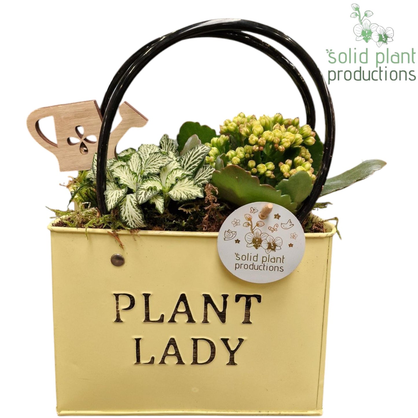 Solid Plant Productions ZKE001 Yellow Bag Large Pack of 4
