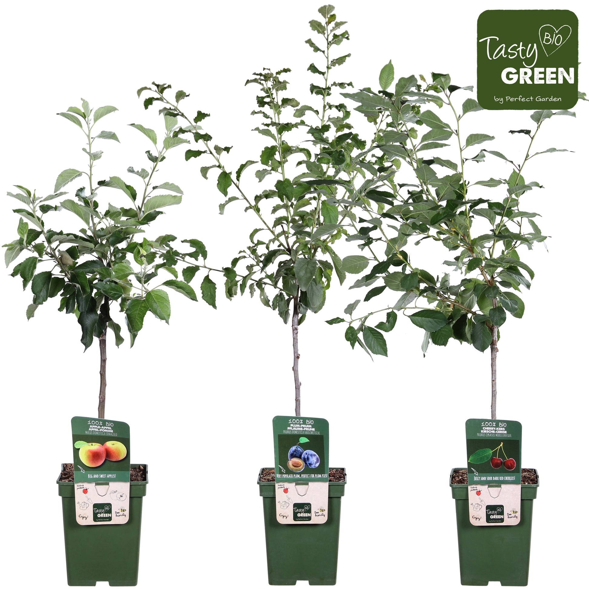 Fruit mix 100cm 23cm Pot