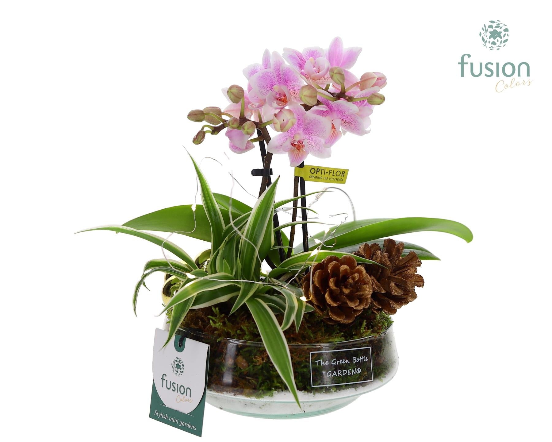 Green Bottle Iris Small met Kerst LED arrangement 25cm 15cm Pot