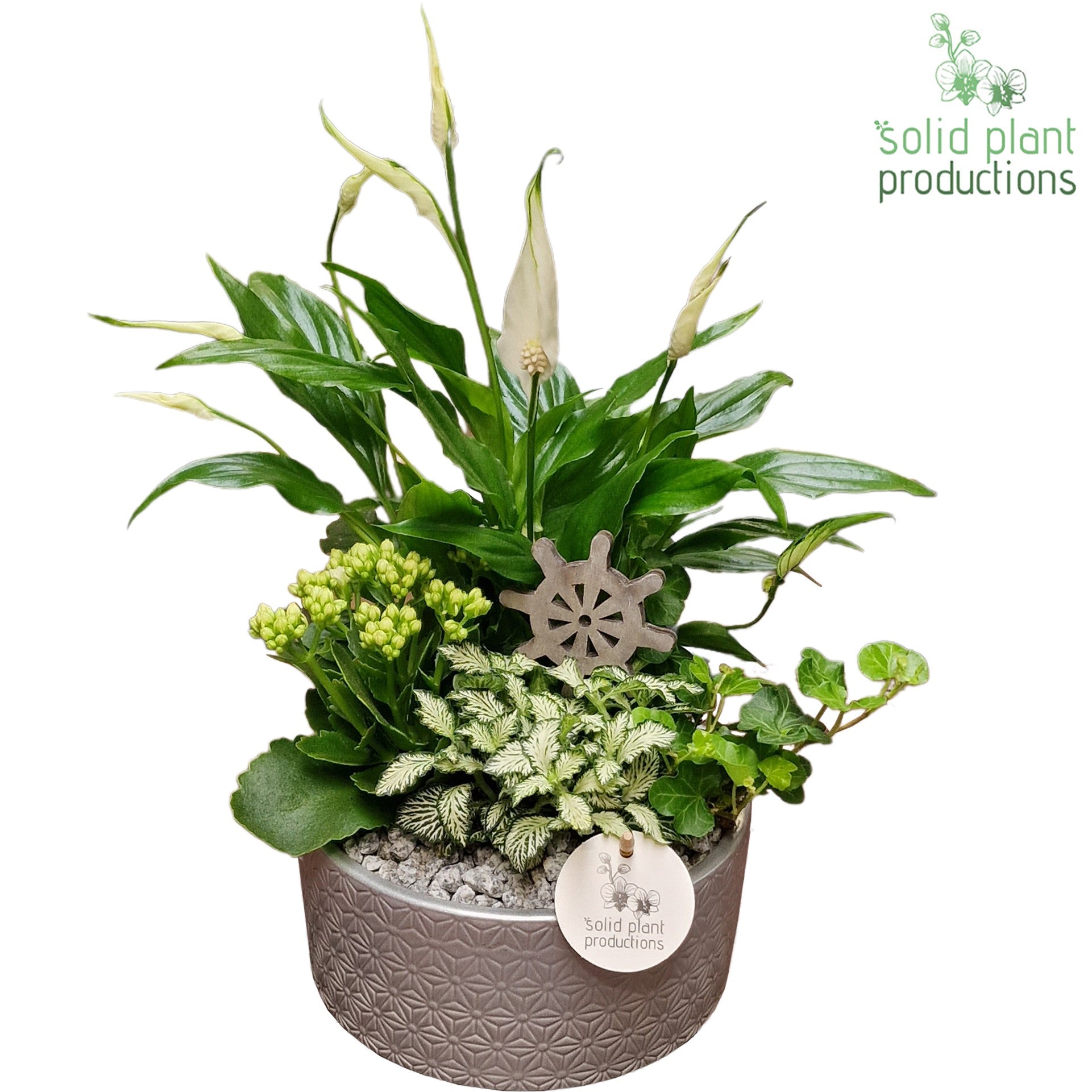 SP003 Loes Steel 38cm 18cm Pot