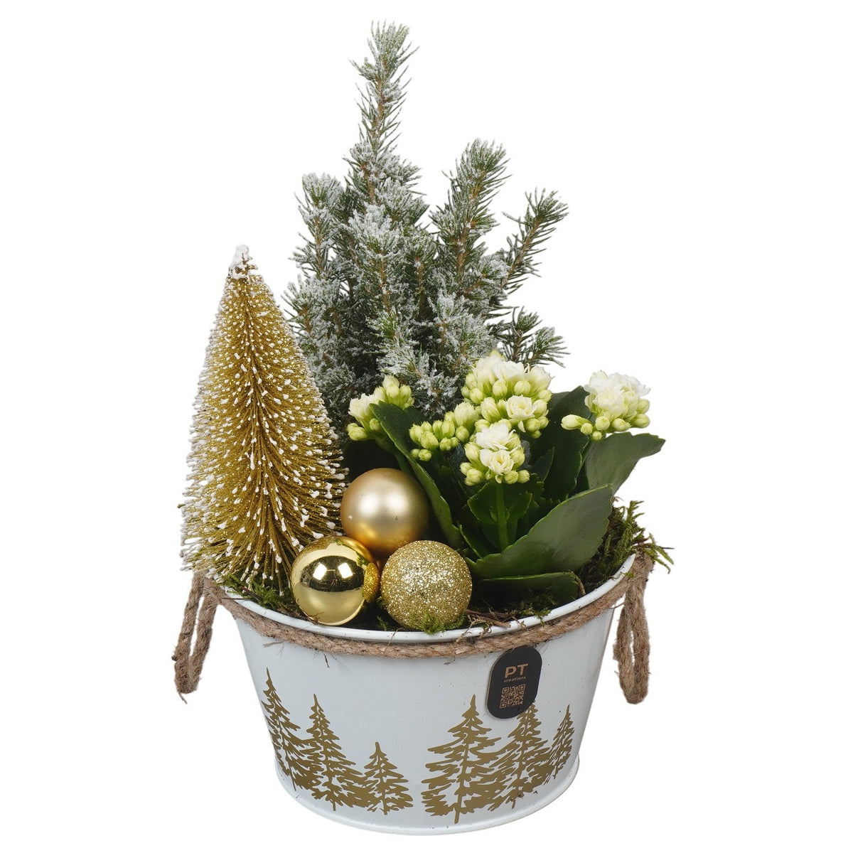 Christmas arrangement 27cm 15cm Pot