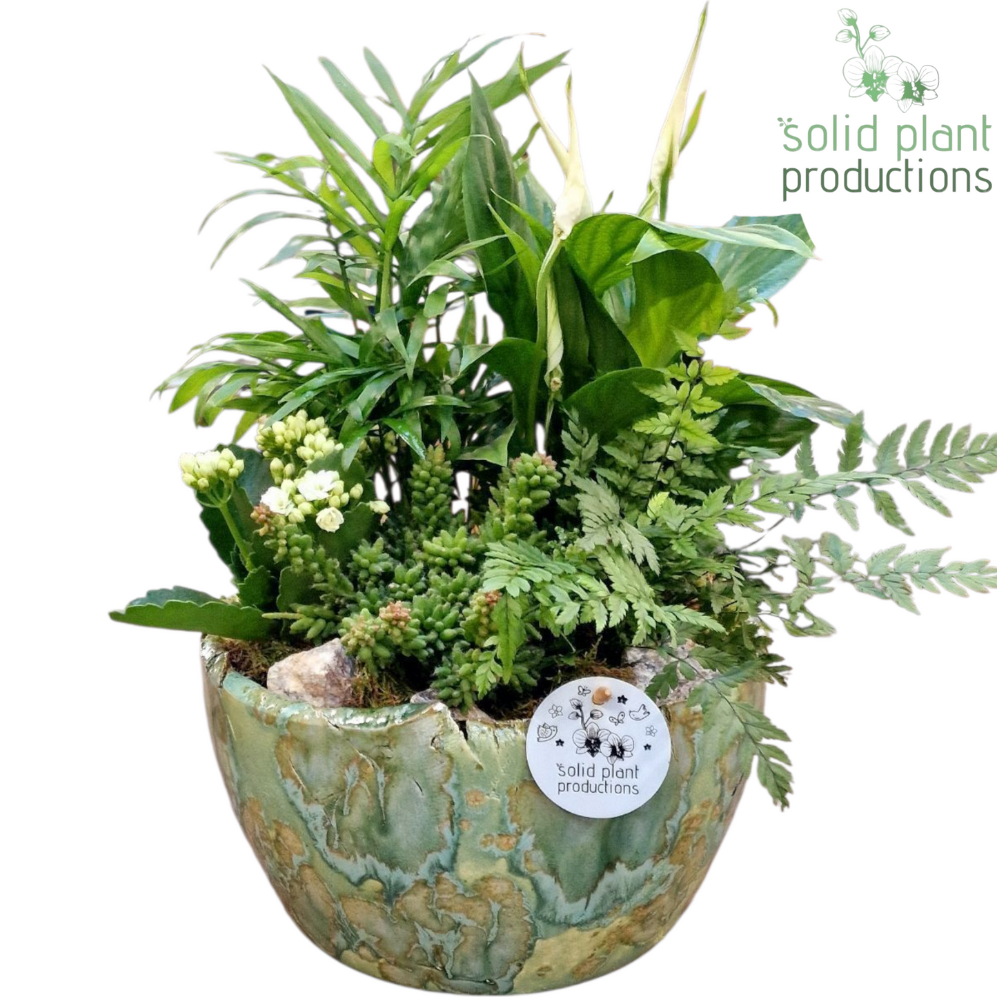 SC081 Olivia Green 5PP Mix 40cm 24cm Pot