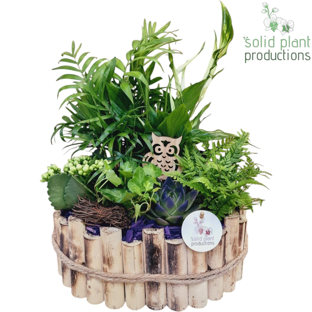 HSCE007 Bologna Large Autumn Purple 38cm 30cm Pot
