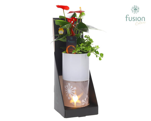 Glas tube Led planter groot met Arrangement 35cm 11cm Pot
