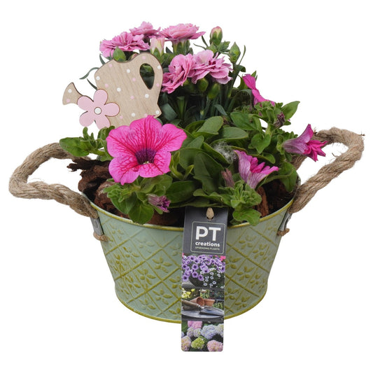 Outdoor arrangement 21cm 17cm Pot