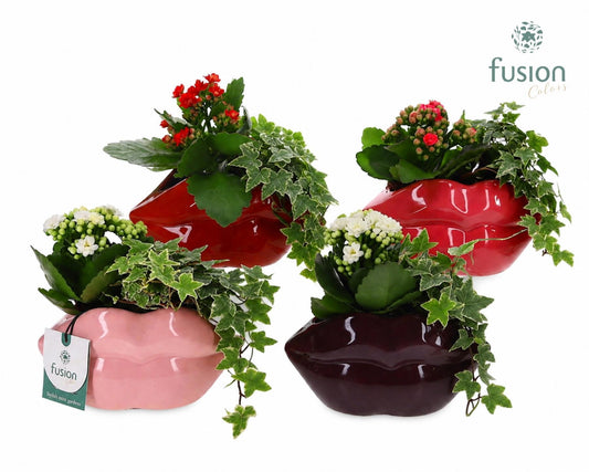 Keramiek Lippen met arrangement 15cm 15cm Pot