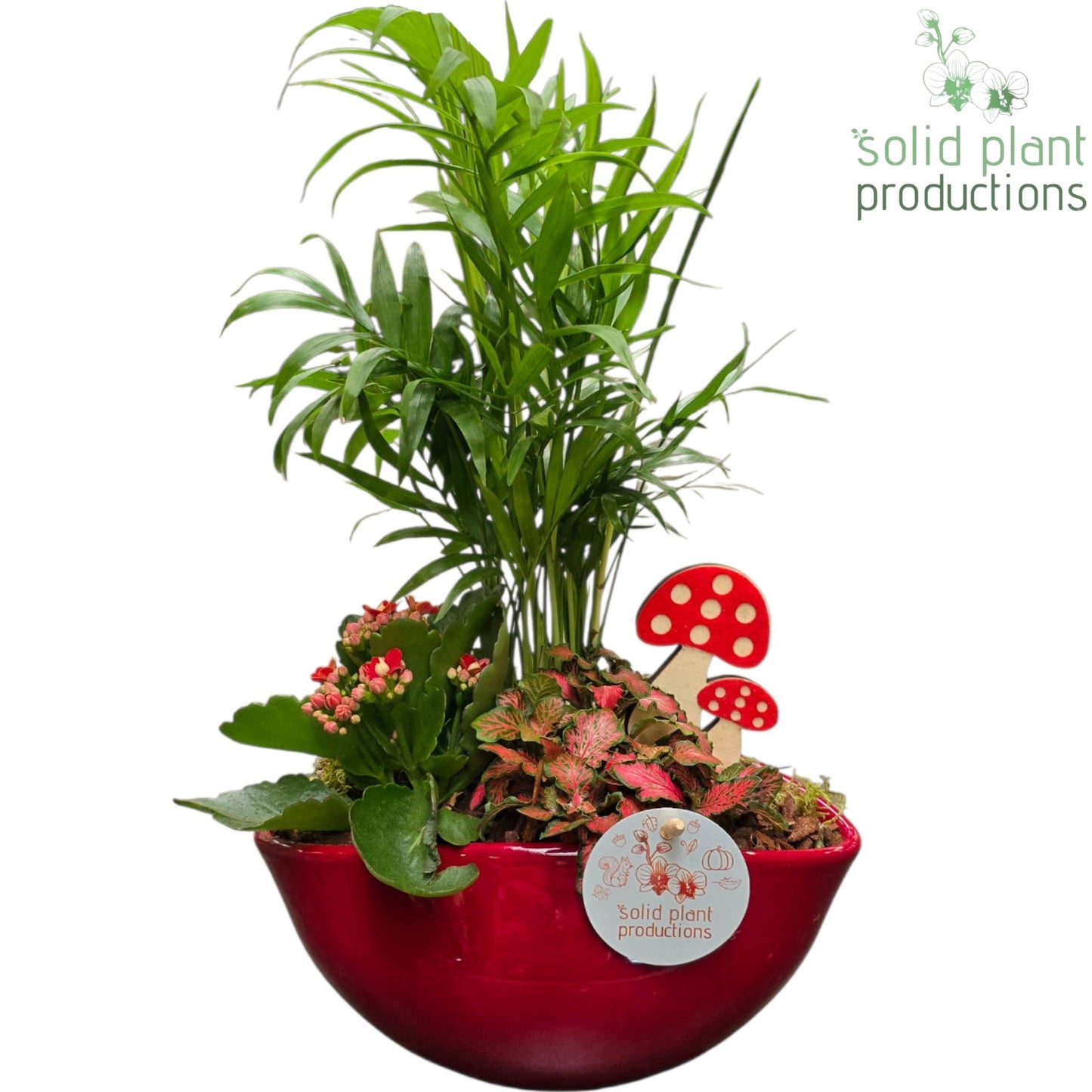 CH005 Evelyn Red 38cm 22cm Pot