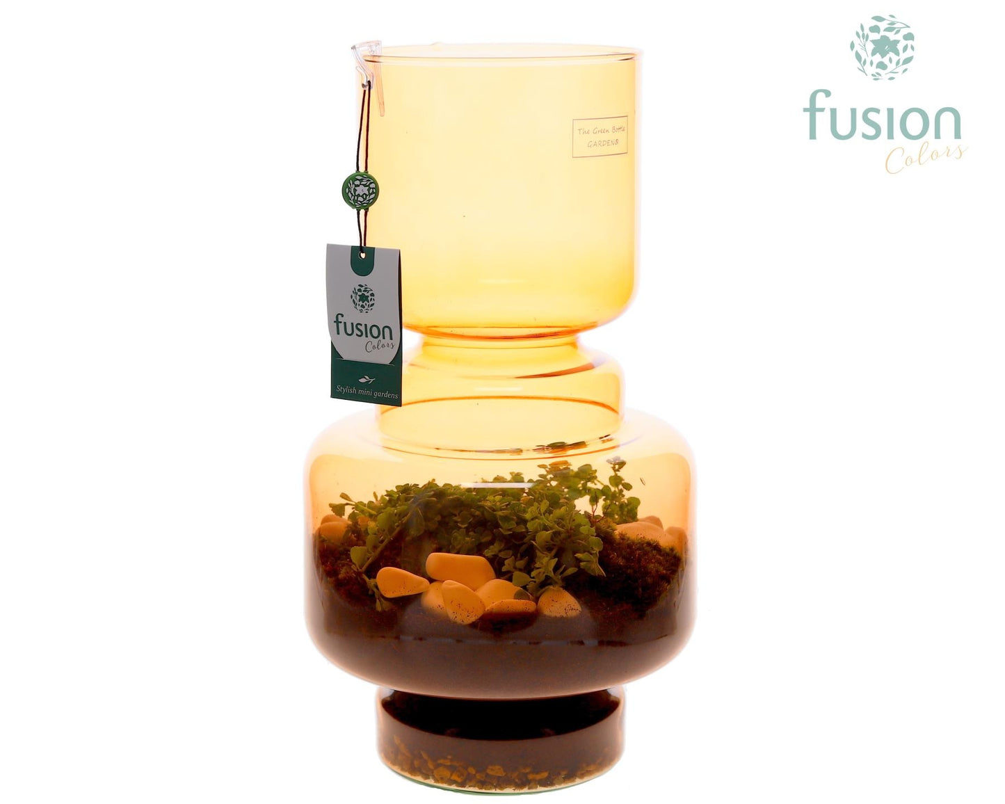 Fusioncolors BV Green Bottle Lotte Large bruin met Pilea Pack of 2