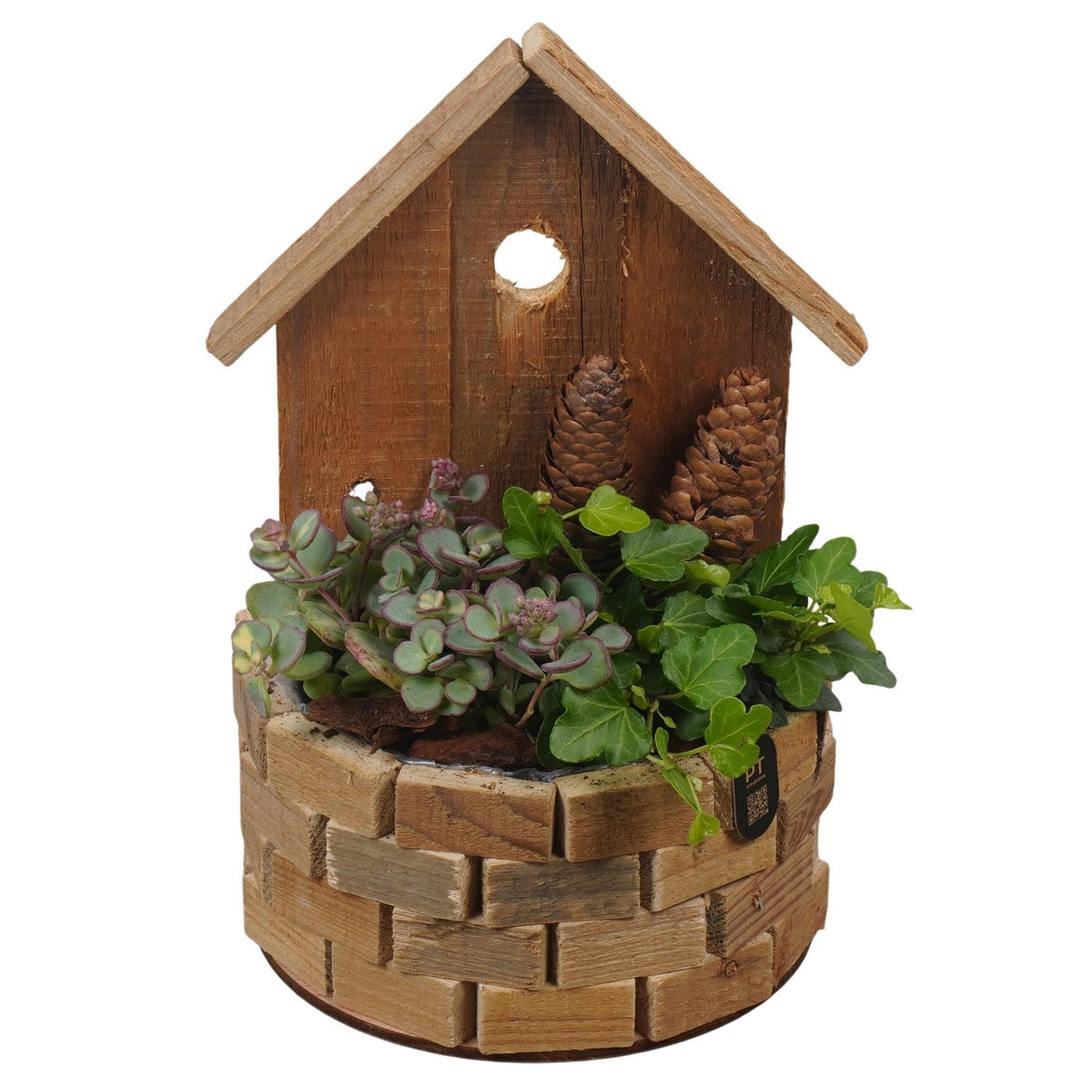 Outdoor arrangement 26cm 17cm Pot