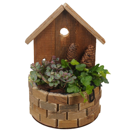 Outdoor arrangement 26cm 17cm Pot