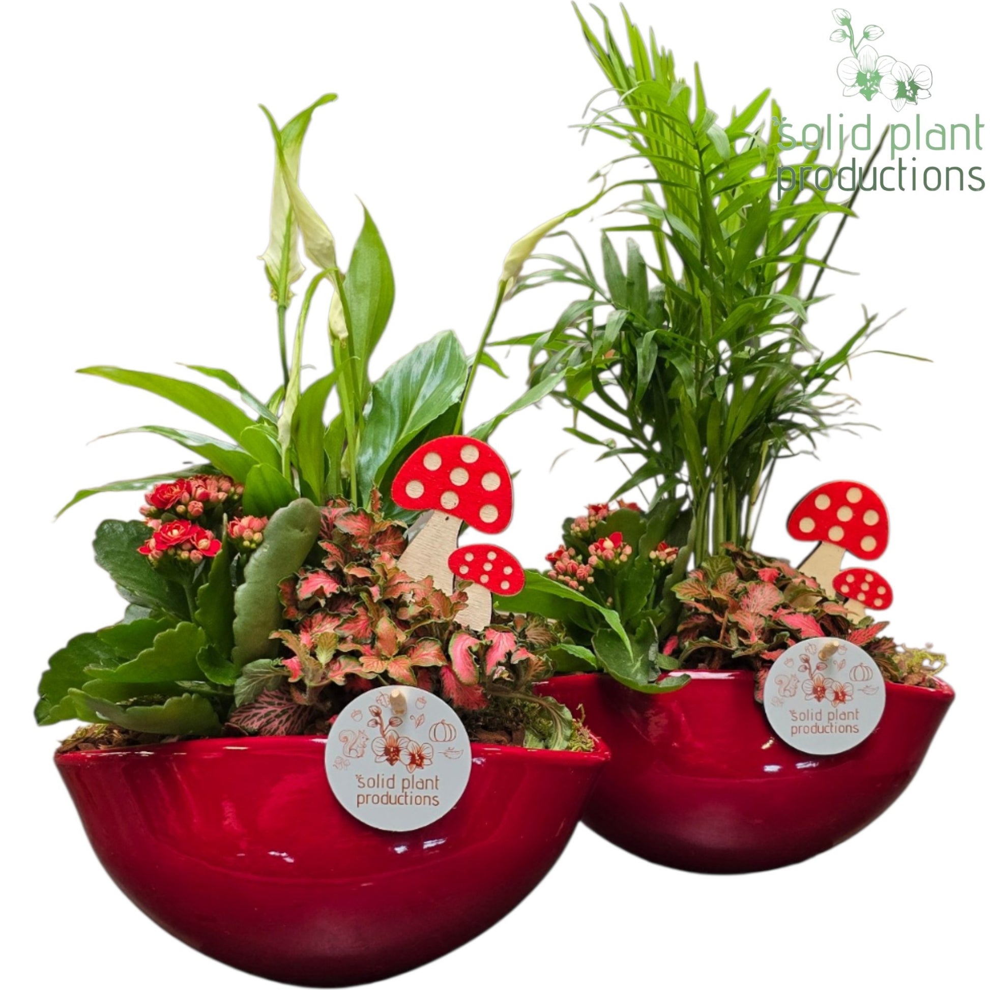 SC005 Evelyn Red Mix 40cm 22cm Pot