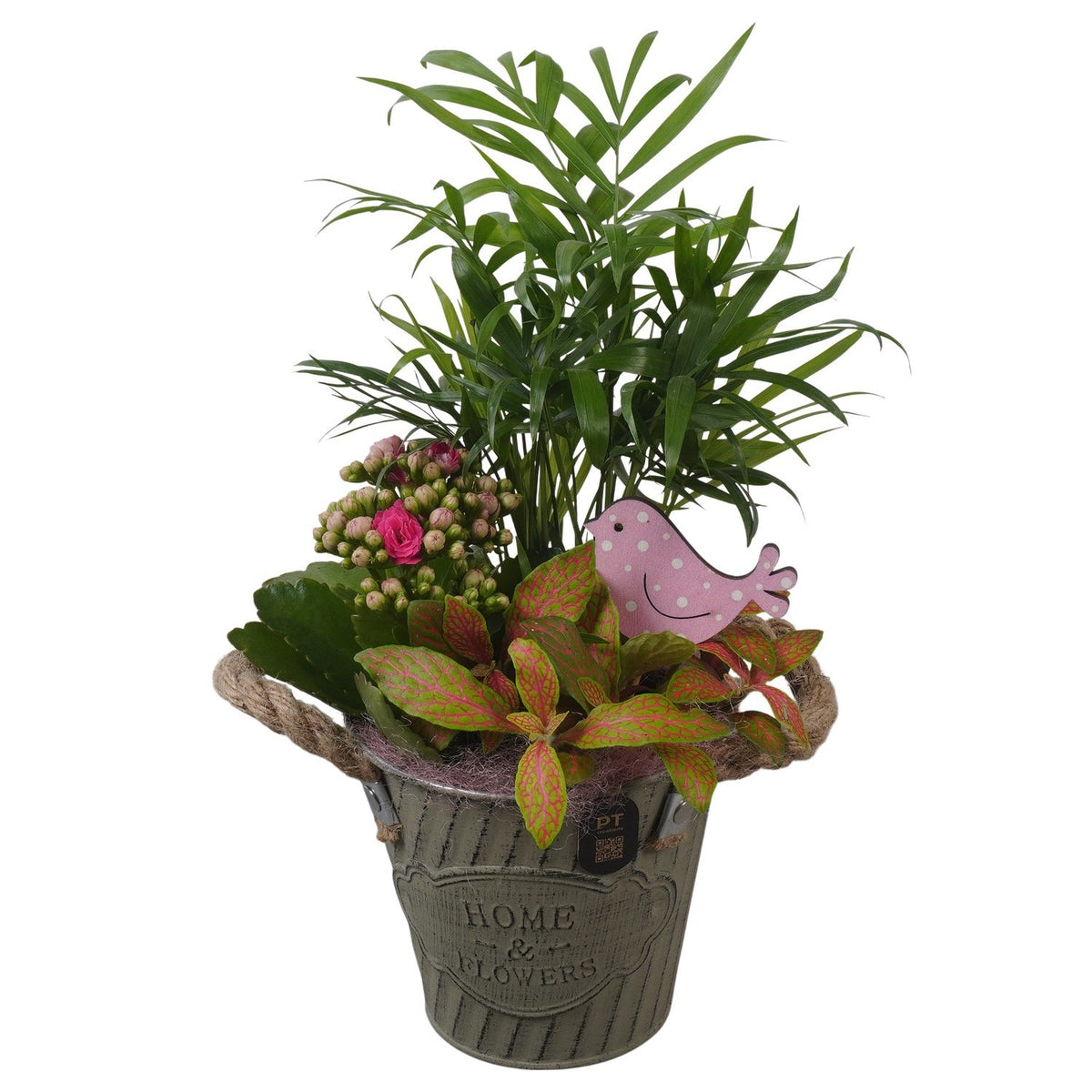 Indoor arrangement 31cm 12cm Pot