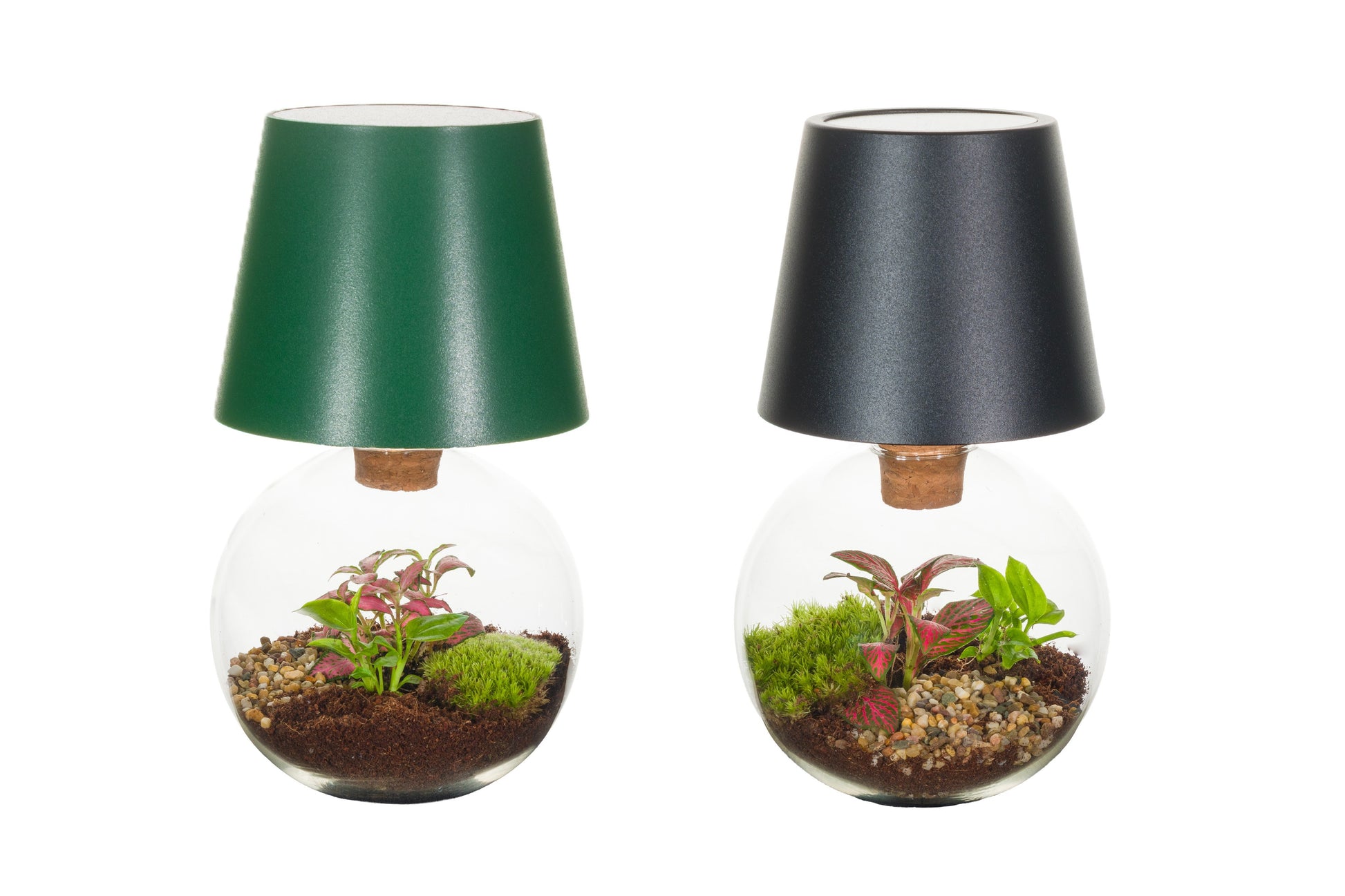 Wardians Terrarium - Cosmolight + LED (USB-C rechargeable) 21cm 12cm Pot