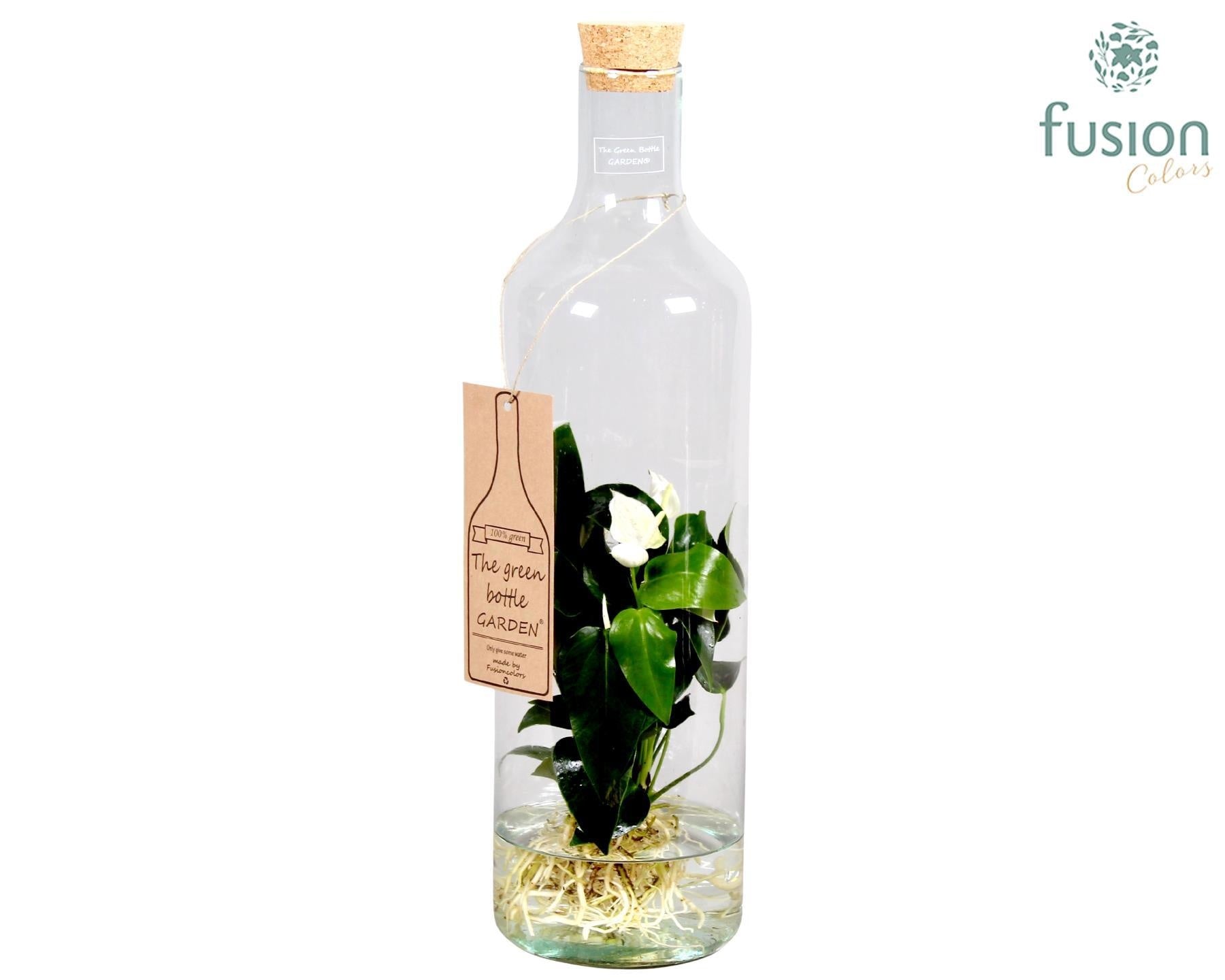 Fusioncolors BV Green Bottle Fles Large met Anthurium 24 uur levering Pack of 6