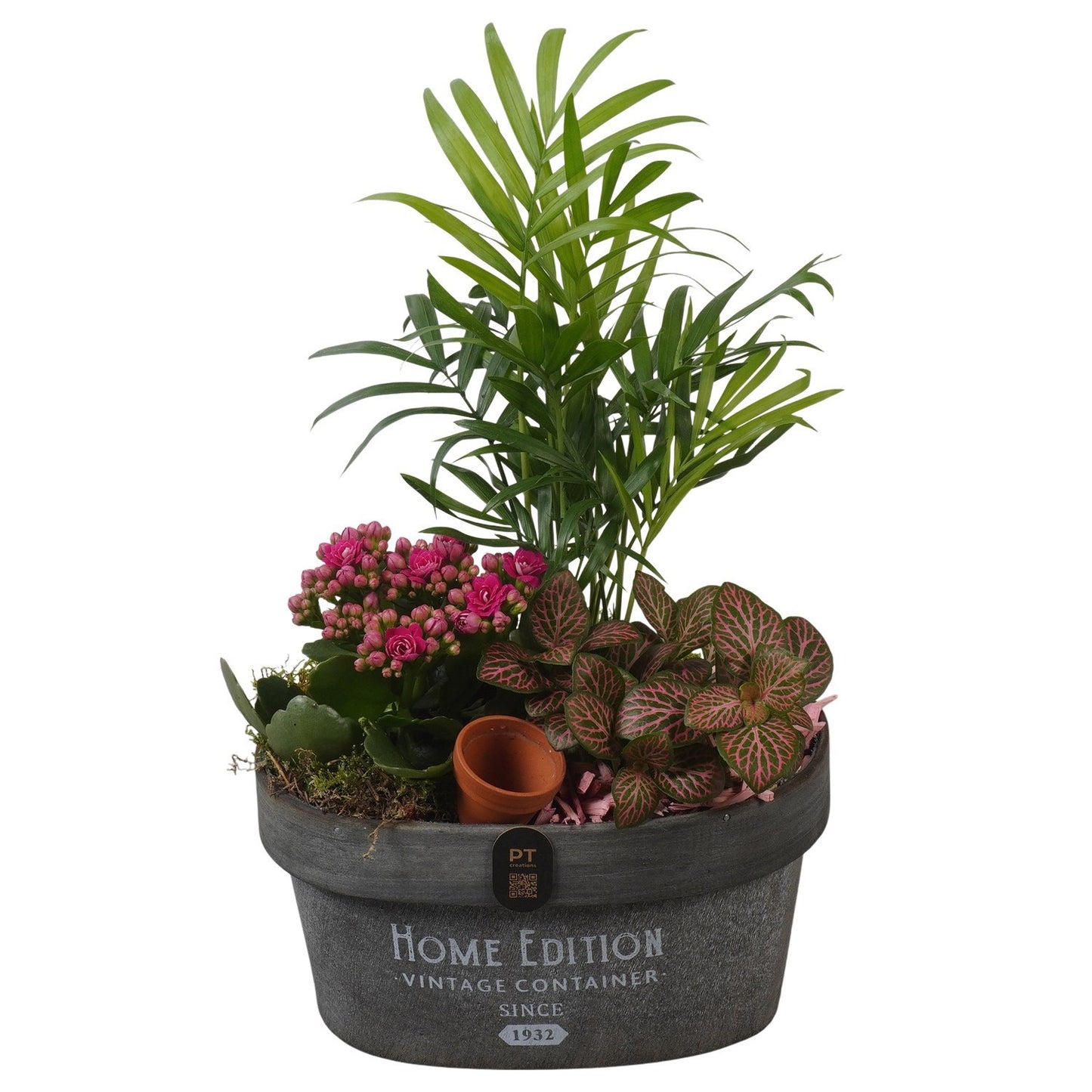Indoor arrangement 33cm 19cm Pot