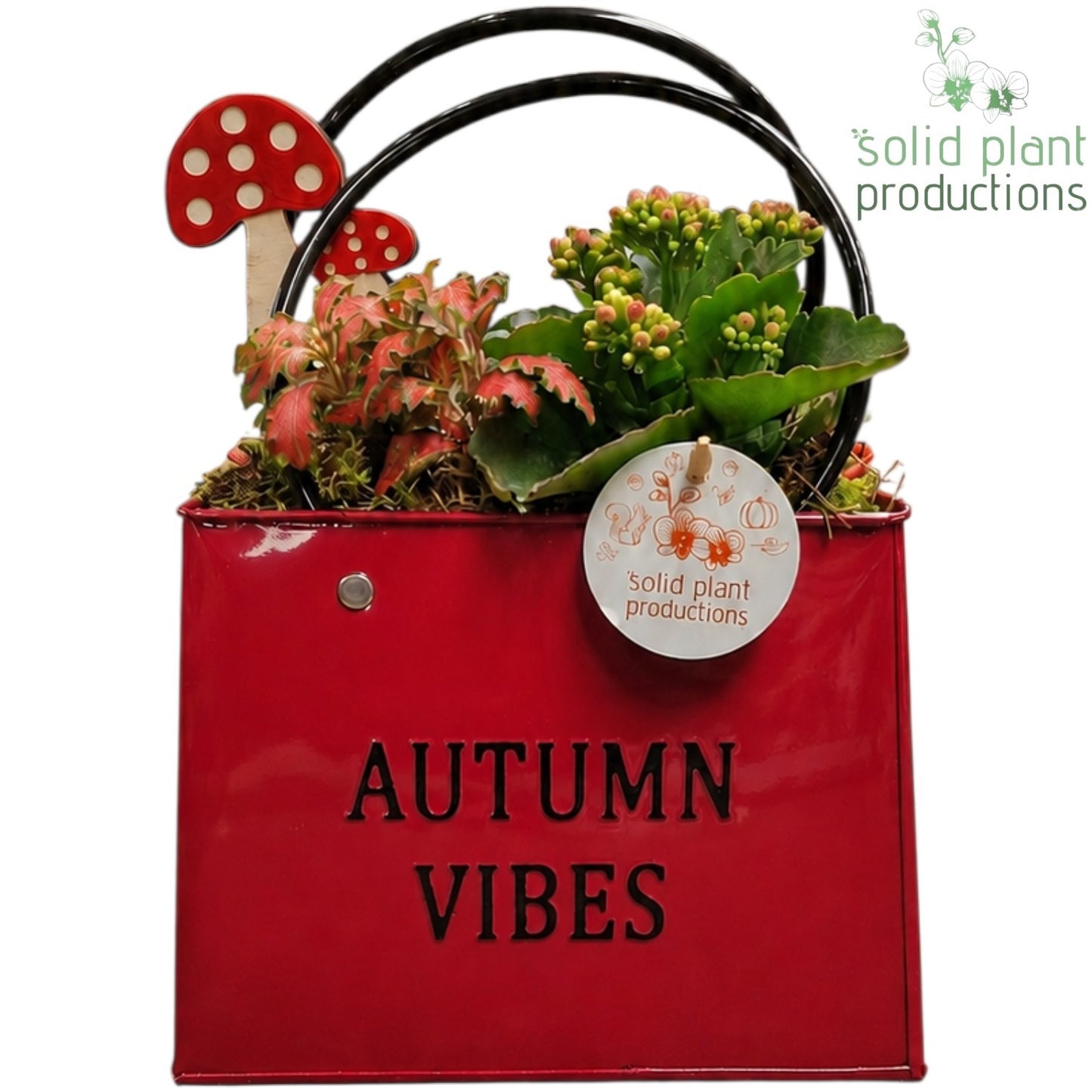 ZKE001 Red Autumn Bag Large 28cm 18cm Pot
