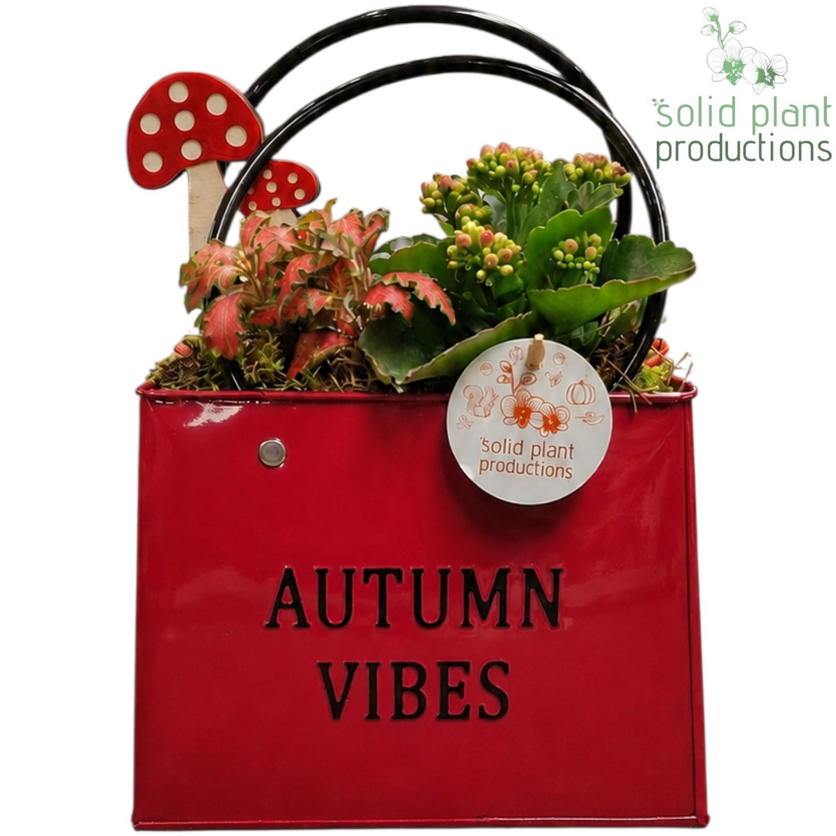 ZKE001 Red Autumn Bag Large 28cm 18cm Pot