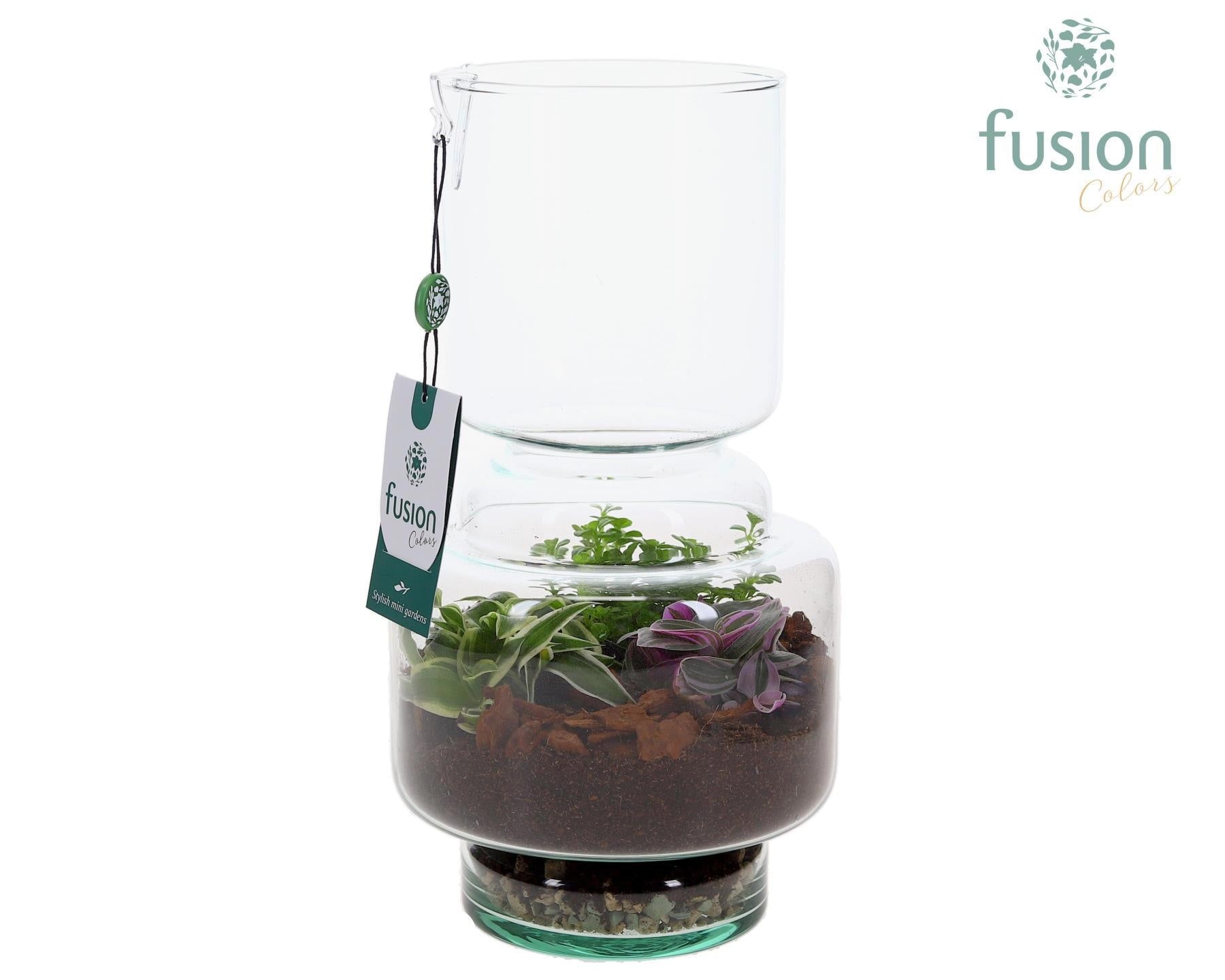 Green Bottle Lotte Medium met Terrarium arrangemet 29cm 16cm Pot