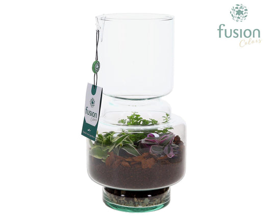 Green Bottle Lotte Medium met Terrarium arrangemet 29cm 16cm Pot