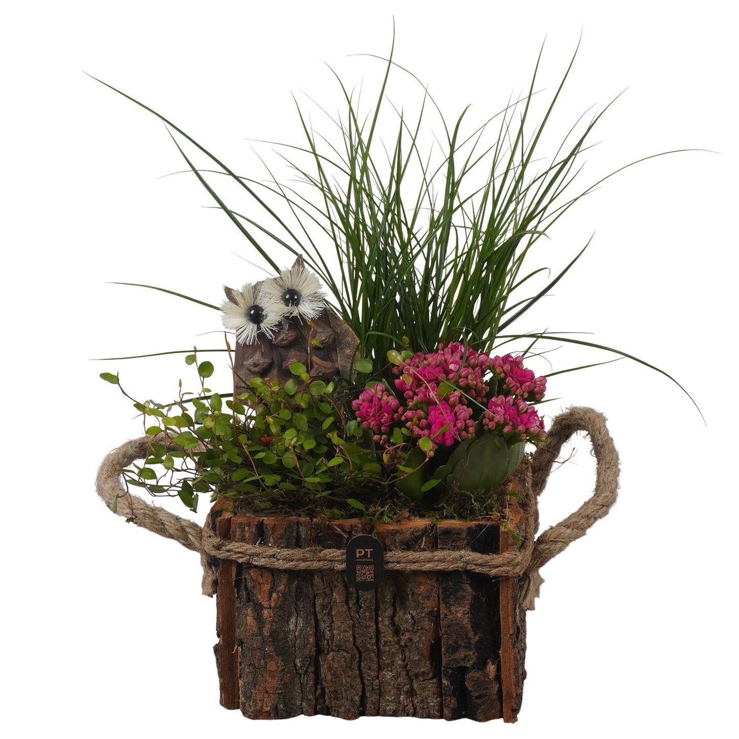 Indoor arrangement 33cm 17cm Pot