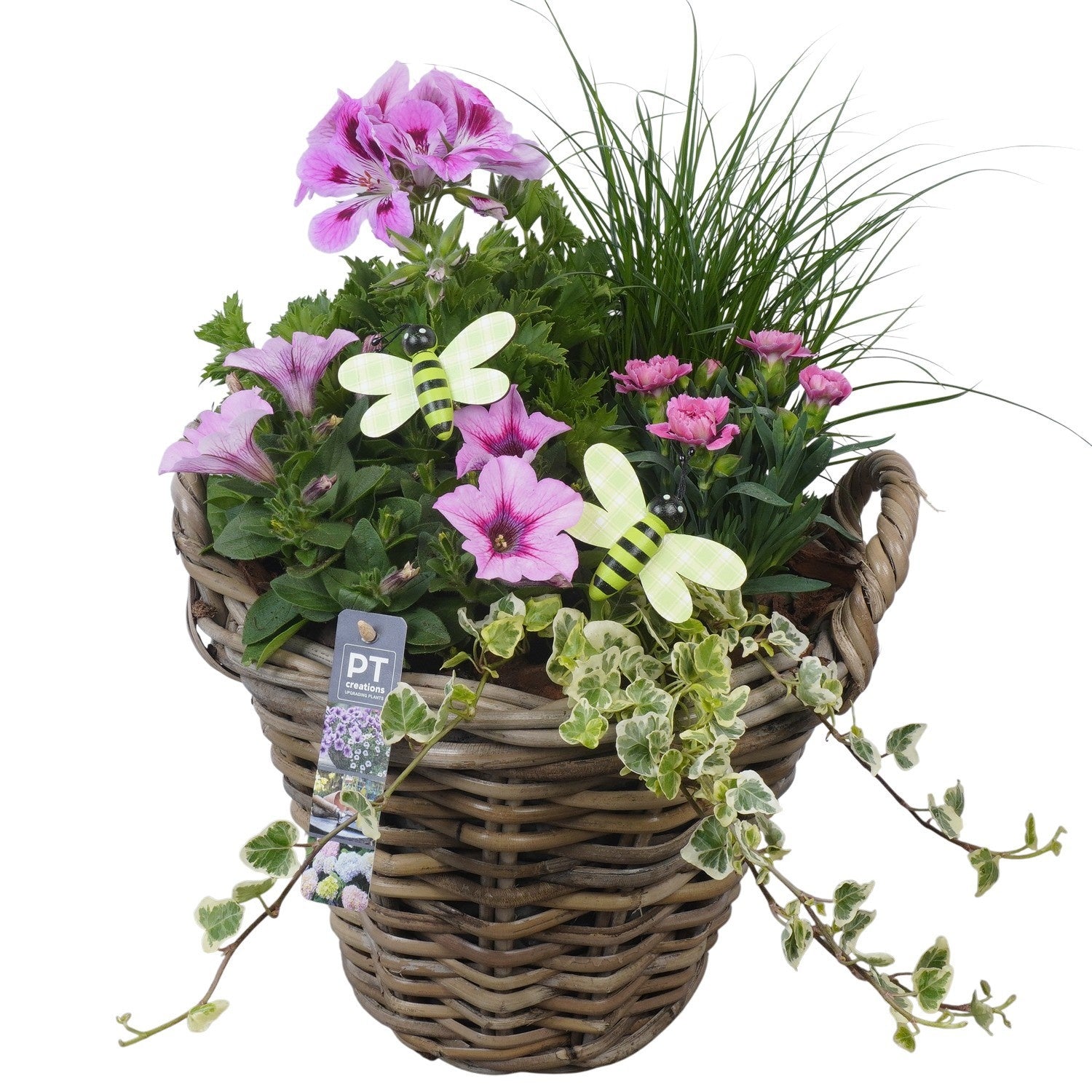 arr. PM196 46cm 30cm Pot
