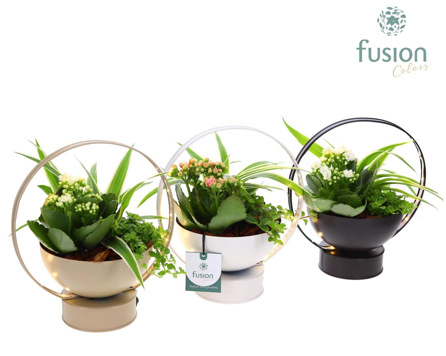 LED planter zink schaal met Arrangement 25cm 20cm Pot