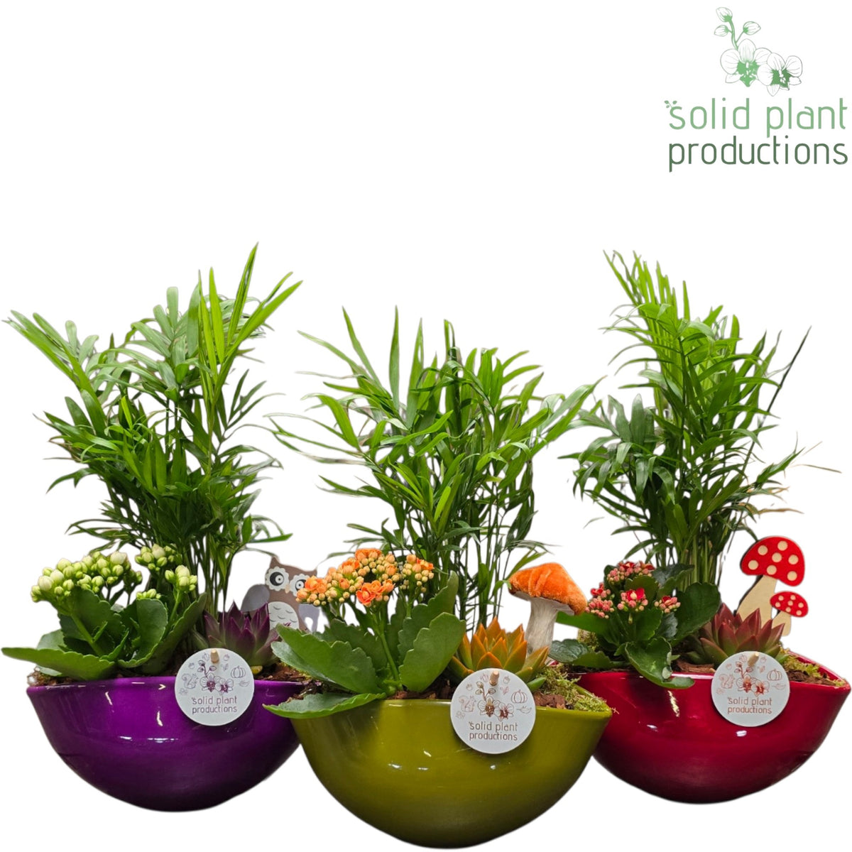 CE005 Evelyn Autumn Mix 38cm 22cm Pot