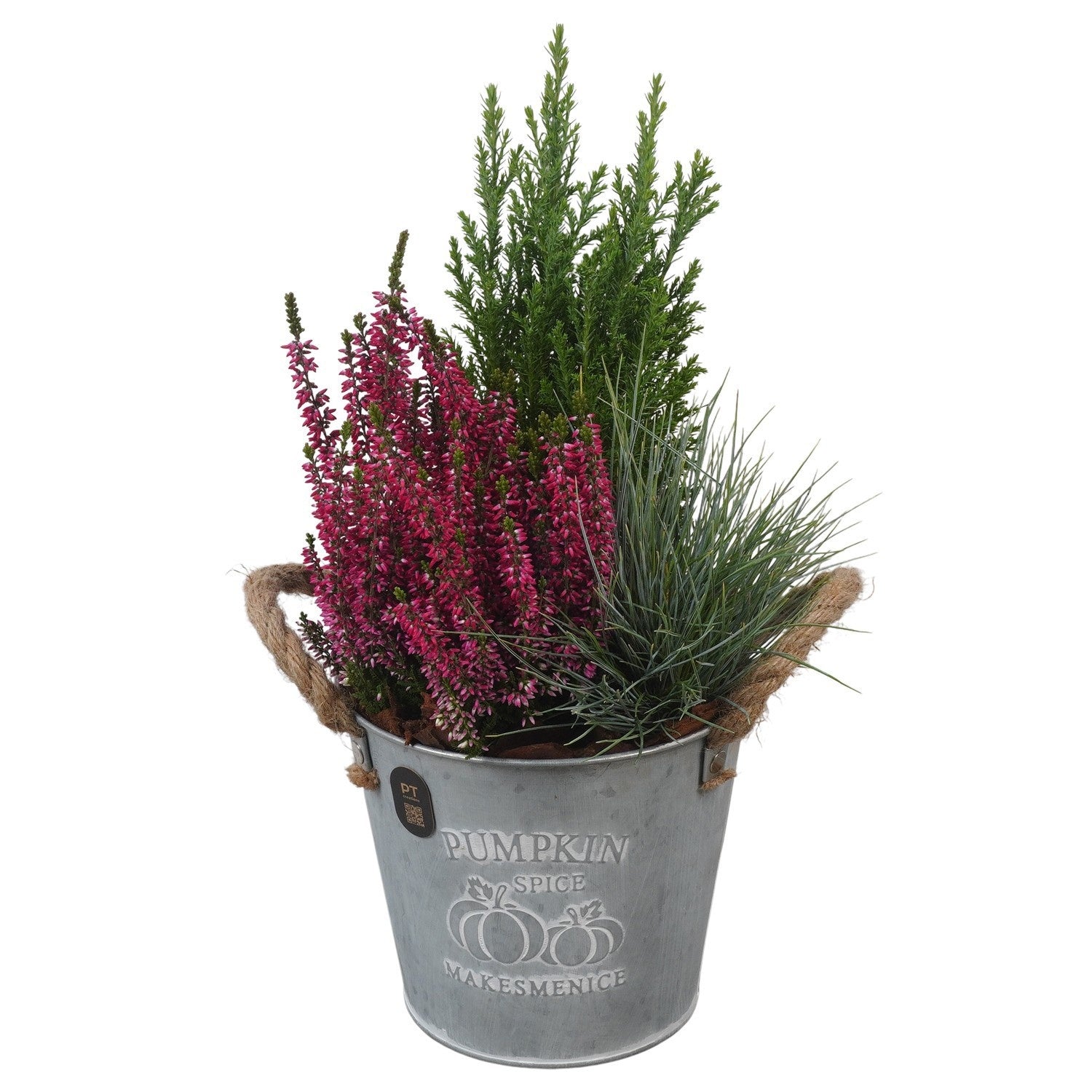 Outdoor arrangement 39cm 16cm Pot