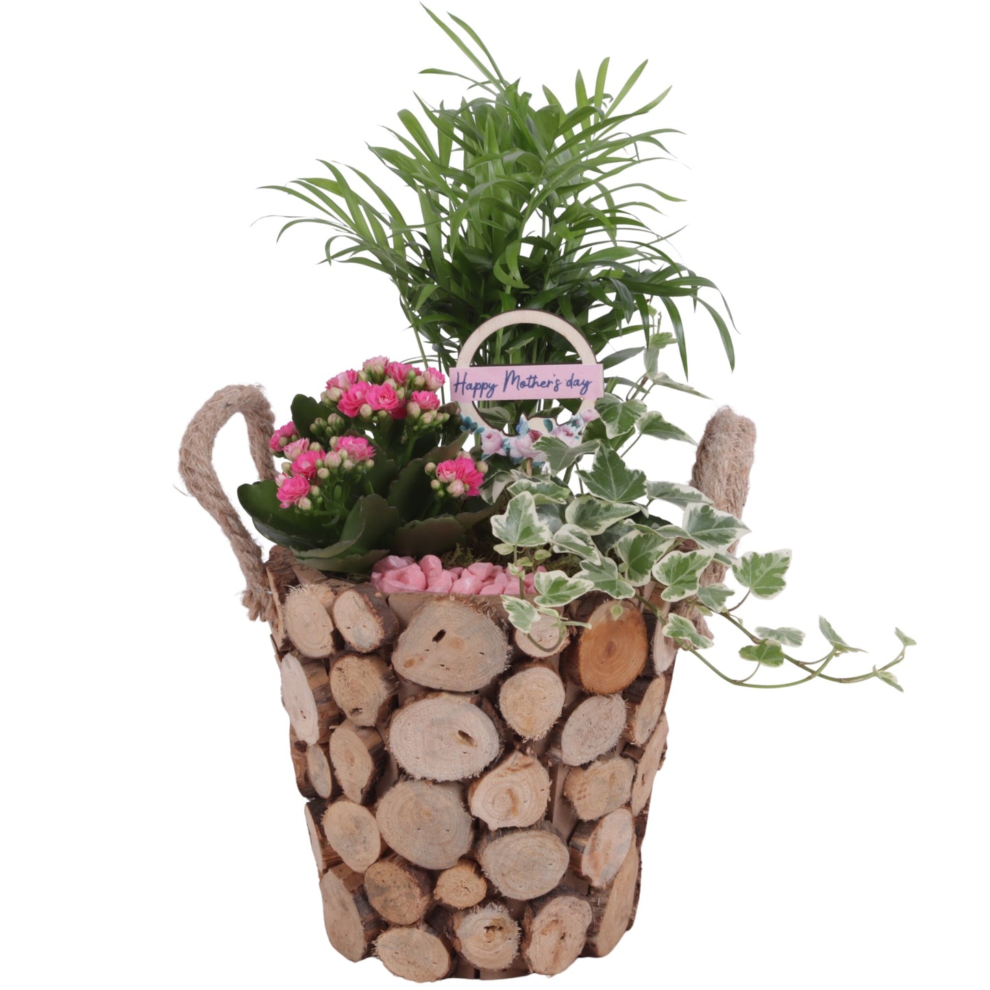 Indoor arrangement 35cm 20cm Pot