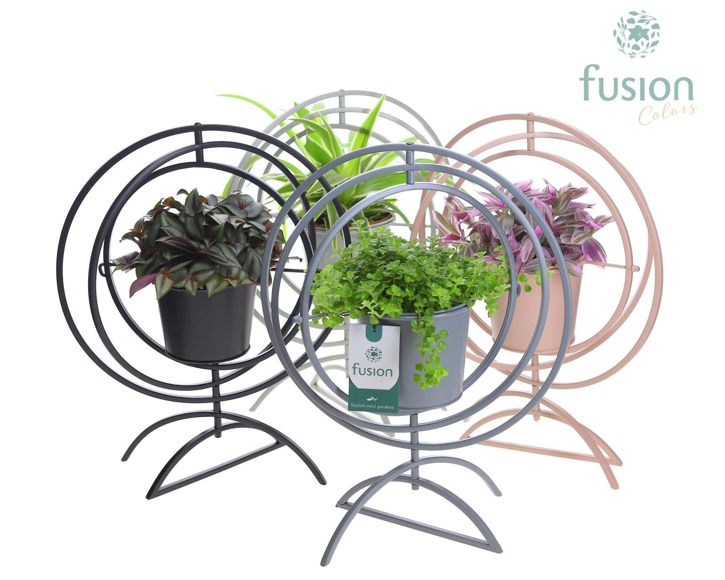 Fusioncolors BV Metaal Globe metaal 4 kleuren Large met groene planten Pack of 4