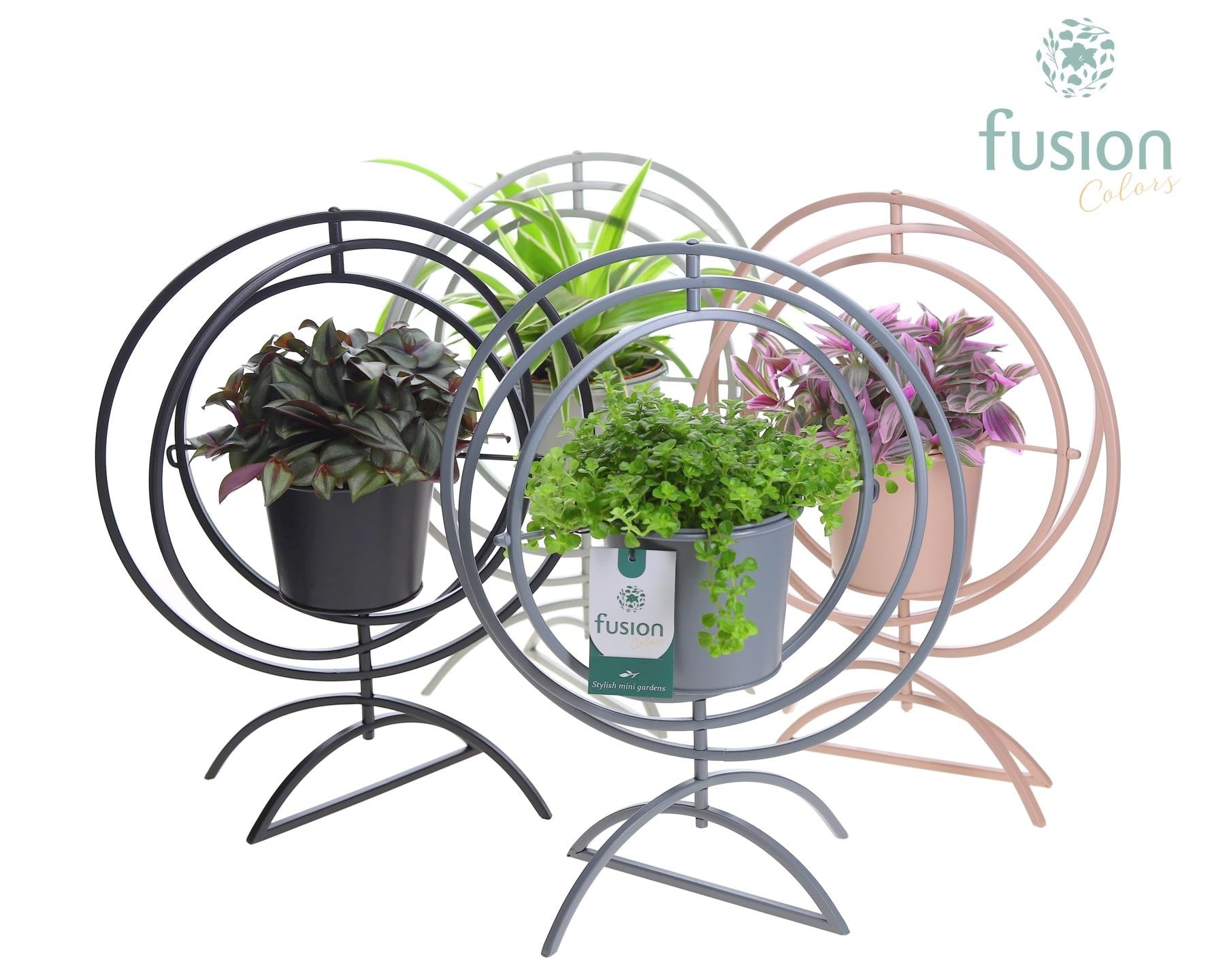 Fusioncolors BV Metaal Globe metaal 4 kleuren Large met groene planten Pack of 4