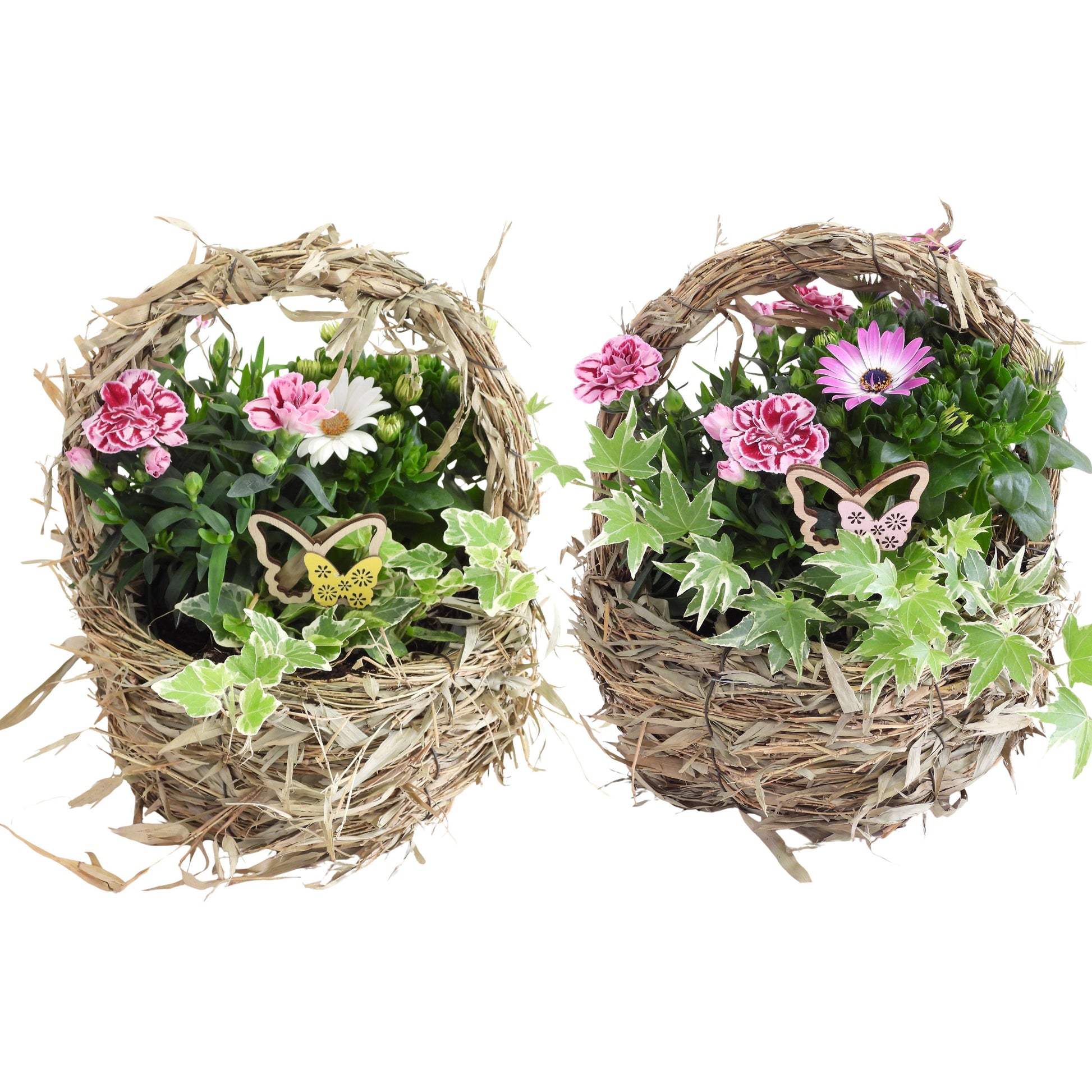 Outdoor arrangement 35cm 20cm Pot