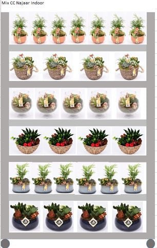 Indoor arrangement 999cm Pot