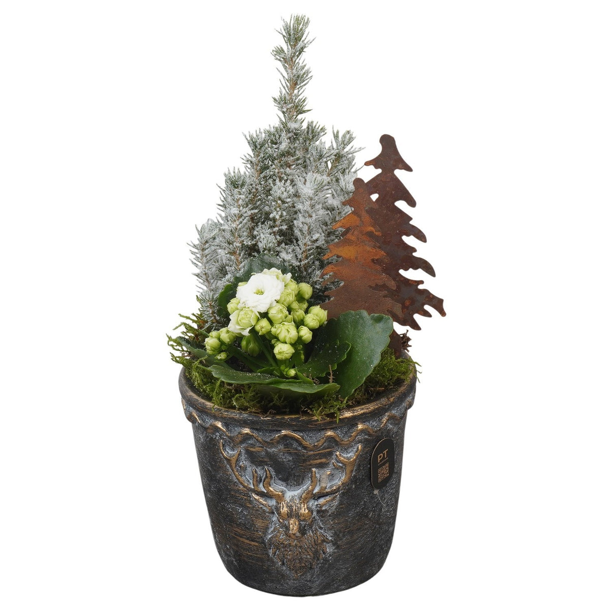 Christmas arrangement 31cm 14cm Pot